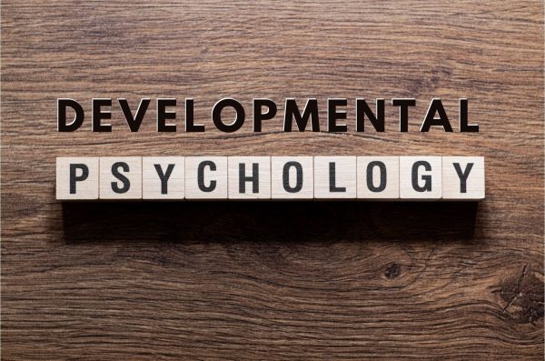 Developmental Psychology - PSYC 2523 For Cheap