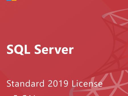 Microsoft SQL Server 2019 Standard - License + 5 CALs Hot on Sale