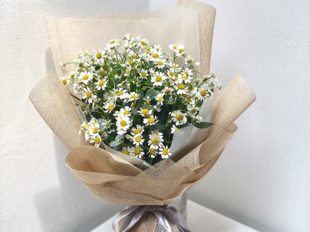 Tanacetum For Sale