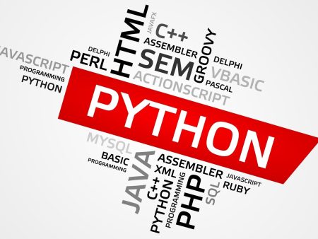 Python 1 Hot on Sale