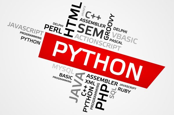 Python 1 Hot on Sale